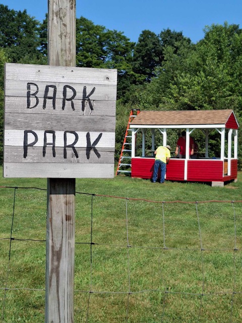 Campground Landscape